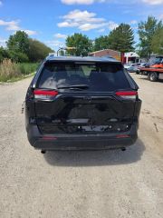 2019 Toyota RAV4 LE - Exterior Rear Center Image